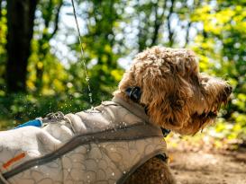 Ruffwear Swamp Cooler Kühlweste für Hunde Graphite Gray XXS 6