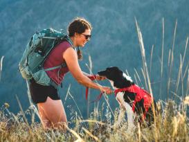 Ruffwear Web Master™ Hundegeschirr 2.0 Red Canyon S 6