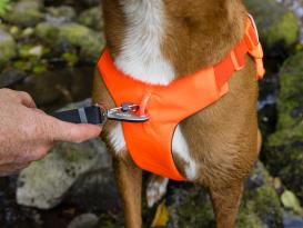 Ruffwear Web Master™ Hundegeschirr 2.0 Blaze Orange XXS 6