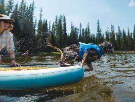 Ruffwear Float Coat™ Schwimmweste für Hunde Deep Blue L 6