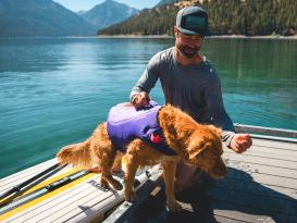 Ruffwear Float Coat™ Schwimmweste für Hunde Purple Lily M 6