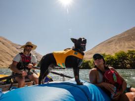 Ruffwear Float Coat™ Schwimmweste für Hunde Wave Orange L 6
