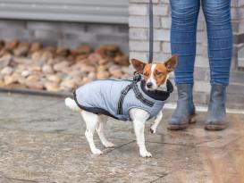 Hundegeschirr-Mantel Pontis für kleine Hunde grau 6