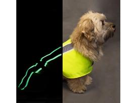 B-Ware Leucht Hundemantel Flecta Vizlite DT 41 cm 6
