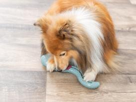 Snack Snake Hundespielzeug Small 6
