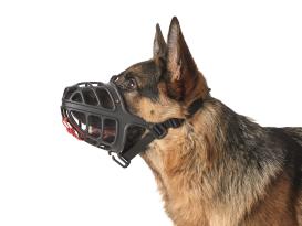 Hunter Maulkorb Albury 6