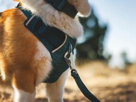 Ruffwear Front Range Flex Hundegeschirr Deep Teal 6