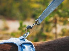 Ruffwear Front Range Flex Hundeleine Basalt Gray 6