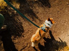 Ruffwear Front Range Flex Hundeleine Deep Teal 6