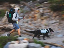 Ruffwear Hitch Hiker Hundeleine Red Currant 6