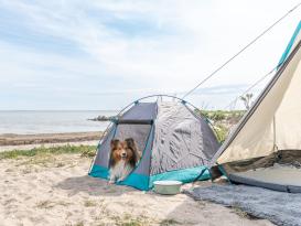 Camping Zelt für Hunde 6
