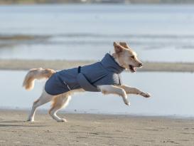 Wasserdichter Hundemantel Explore Light mit Thinsulate™-Wattierung 6