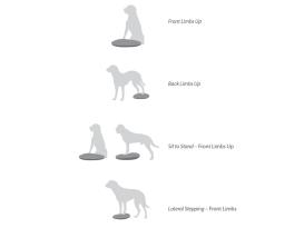 FitPAWS® Balance Disc lavendel 36 cm 6