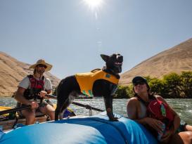 Ruffwear Float Coat™ Schwimmweste für Hunde Wave Orange 6