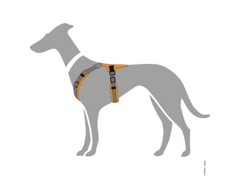 Hunter Hundegeschirr Maldon orange/grau