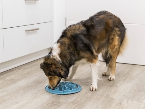 Slow Feeding Futtermatte Antischlingnapf für Hunde