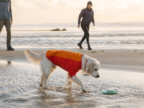 Ruffwear Undercoat™ Hunde-Neoprenanzug Campfire Orange
