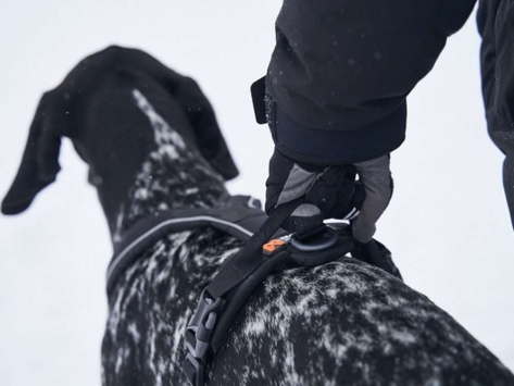 Non-Stop Dogwear Hundegeschirr Line Harness Grip