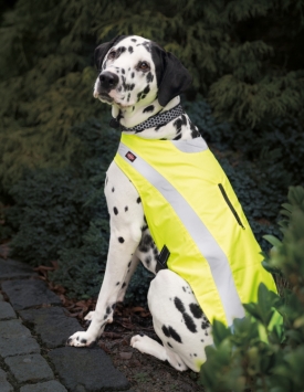 Sicherheitsweste für Hunde mit reflektierenden Streifen