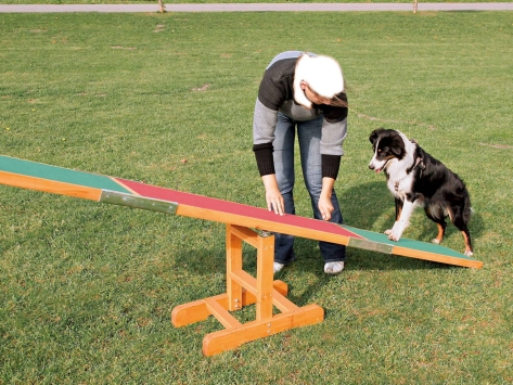Dog Activity Fun Agility Wippe aus Kiefernholz