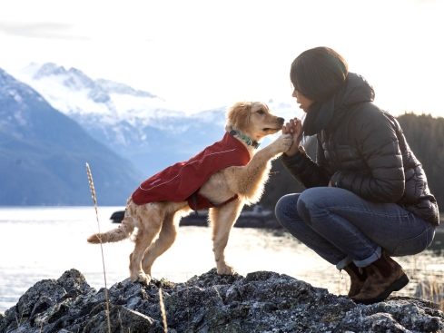 Ruffwear Overcoat™ gefütterte Allwetter-Hundejacke Red Clay