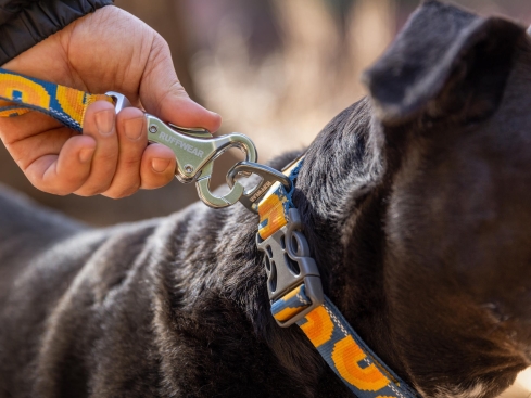 Ruffwear Crag™ reflektierendes Hundehalsband Canyon Oxbow