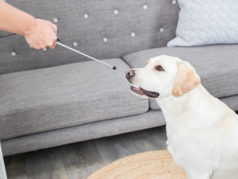 Target Stick mit Clicker