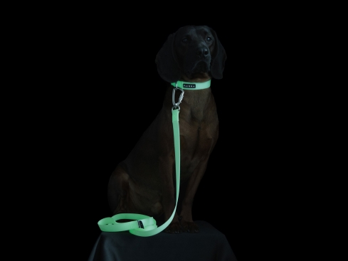 Paikka fluoreszierendes Halsband für Hunde Ombre