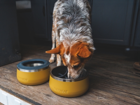 Ruffwear Basecamp Slow Feeder Einsatz für Edelstahlnapf