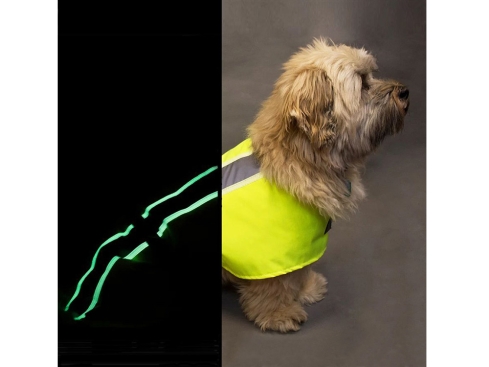 B-Ware Leucht Hundemantel Flecta Vizlite DT 41 cm