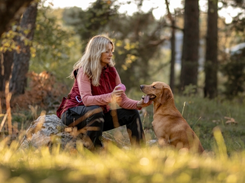 Pinewood DogSports Trainerin Damenhose B-Ware Gr. 36