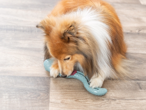 Snack Snake Hundespielzeug Small