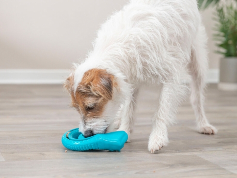 Snack Snake Hundespielzeug Medium