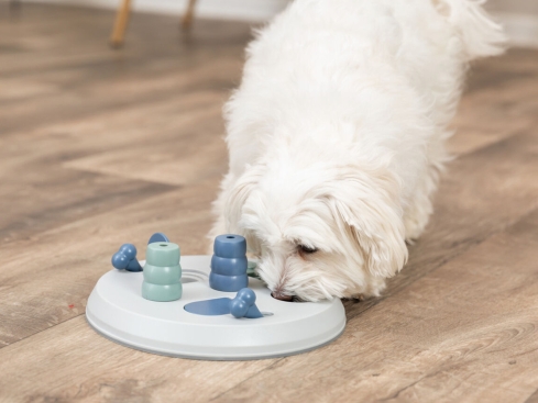 Dog Activity Flip Board Hunde Strategiespiel