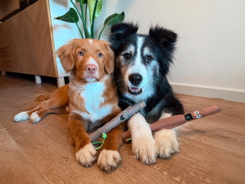 Barkers Family dein lustiger Apportierstock