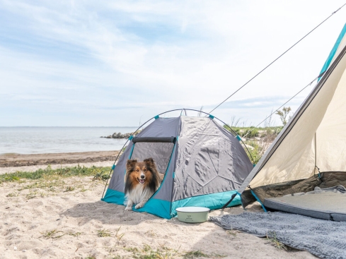 Camping Zelt für Hunde