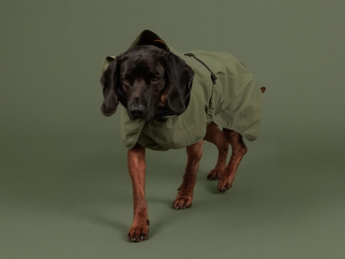 Paikka reflektierende Shell Hunde-Regenjacke Olivgrün