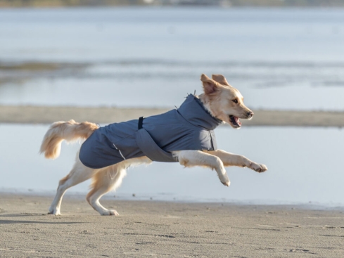 Wasserdichter Hundemantel Explore Light mit Thinsulate™-Wattierung