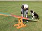 Dog Activity Fun Agility Wippe aus Kiefernholz 6