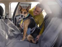 Ruffwear Load Up 2.0 Auto-Sicherheitsgeschirr für Hunde slate blue 7