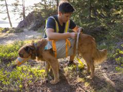 Ruffwear BackTrak™ Dog Evacuation Rettungsset für Hunde 7