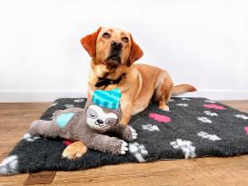 Original Vetbed Isobed SL anthrazit hearts & paws 75 x 50 cm 7