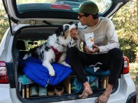Ruffwear Highlands Sleeping Bag™ Hundeschlafsack Huckleberry Blue M (64 cm x 85 cm) 7