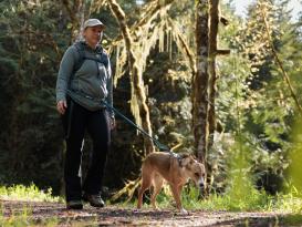 Ruffwear Roamer™ Bungee dehnbare Hundeleine Orion Blue M (1,7 - 2,1 m) 7