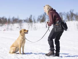 Pinewood Dog Sports Utility-Hüftgurt Schwarz/Anthrazit L-XL 7