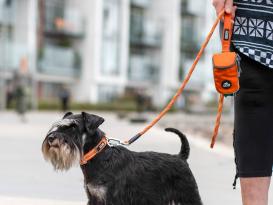Dog Copenhagen Urban Rope V3 Hundeleine Orange Sun L (11 mm) 7