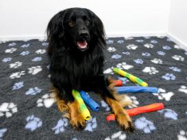 Ruffwear Gnawt-a-Stick™ befüllbares Hundespielzeug 7