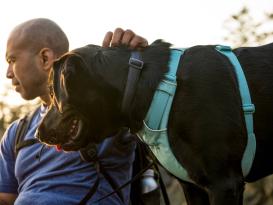 Ruffwear Front Range™ 3.0 Hundegeschirr River Rock Green S 7