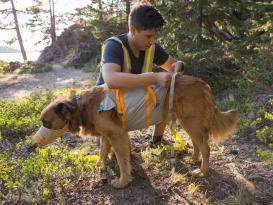 Ruffwear BackTrak™ Dog Evacuation Rettungsset für Hunde 7
