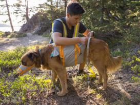 Ruffwear BackTrak™ Dog Evacuation Rettungsset für Hunde Medium 7